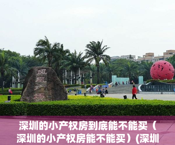深圳的小产权房到底能不能买（深圳的小产权房能不能买）(深圳小产权的房子可以买吗)