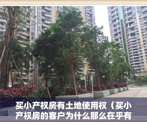 买小产权房有土地使用权（买小产权房的客户为什么那么在乎有没有地铁口？）