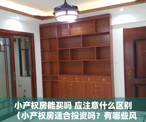 小产权房能买吗 应注意什么区别（小产权房适合投资吗？有哪些风险需要注意？）