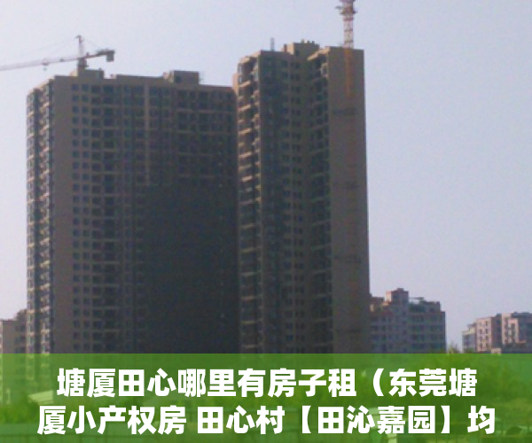 塘厦田心哪里有房子租（东莞塘厦小产权房 田心村【田沁嘉园】均价4380元起 分期3年）