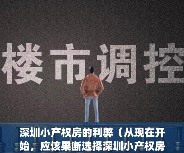 深圳小产权房的利弊（从现在开始，应该果断选择深圳小产权房！）(深圳小产权房合法吗)