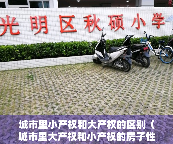 城市里小产权和大产权的区别（城市里大产权和小产权的房子性质是一样的吗）