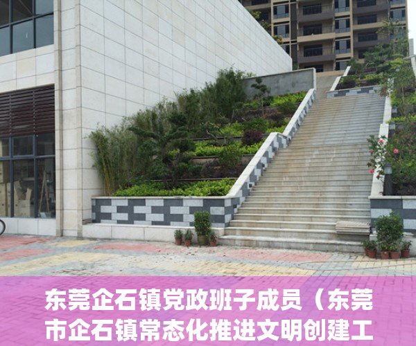 东莞企石镇党政班子成员（东莞市企石镇常态化推进文明创建工作）(东莞市企石镇镇长是谁)
