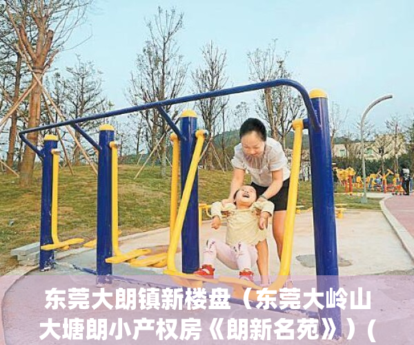 东莞大朗镇新楼盘（东莞大岭山大塘朗小产权房《朗新名苑》）(大朗镇楼盘 大朗镇新房)