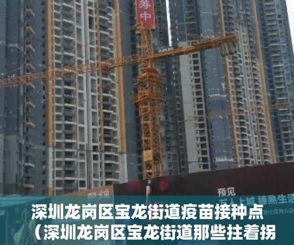 深圳龙岗区宝龙街道疫苗接种点（深圳龙岗区宝龙街道那些拄着拐杖上防疫一线的“小红小蓝”）