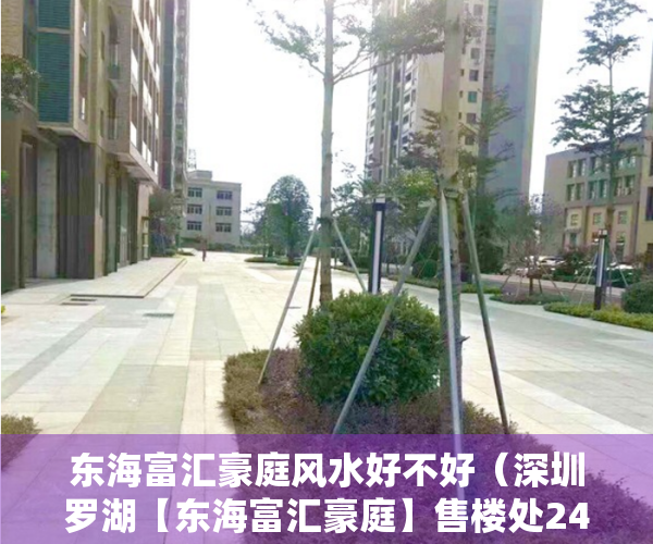 东海富汇豪庭风水好不好（深圳罗湖【东海富汇豪庭】售楼处24小时热线丨户型丨价格丨楼盘简介！）