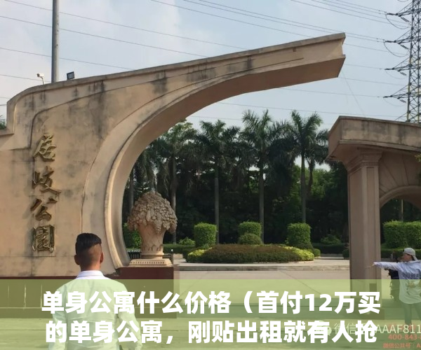 单身公寓什么价格（首付12万买的单身公寓，刚贴出租就有人抢着要，一起来看看吧！）