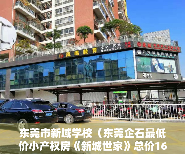 东莞市新域学校（东莞企石最低价小产权房《新城世家》总价168万买两房，278万买三房，首付8万买房）