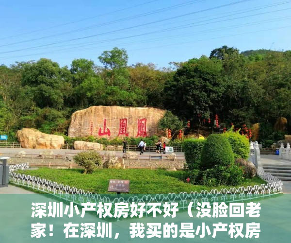 深圳小产权房好不好（没脸回老家！在深圳，我买的是小产权房，但却赚了50万）