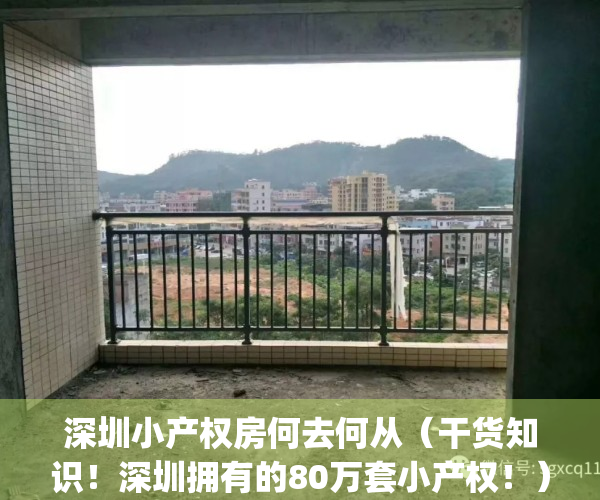 深圳小产权房何去何从（干货知识！深圳拥有的80万套小产权！）(深圳小产权房有哪些)