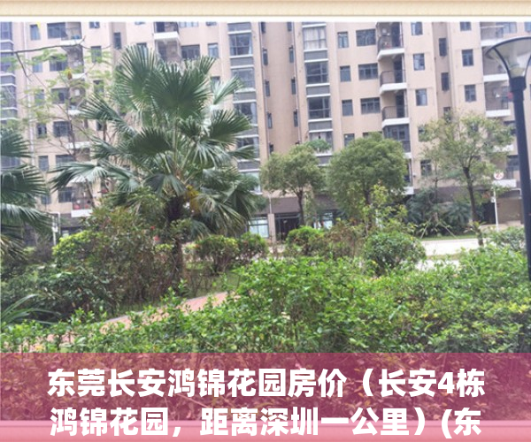 东莞长安鸿锦花园房价（长安4栋鸿锦花园，距离深圳一公里）(东莞长安鸿锦花园好吗)