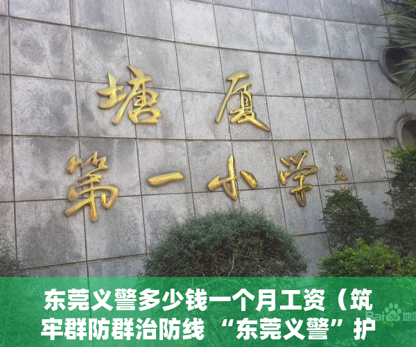 东莞义警多少钱一个月工资（筑牢群防群治防线 “东莞义警”护莞邑平安）