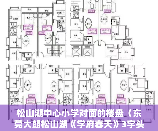 松山湖中心小学对面的楼盘（东莞大朗松山湖《学府春天》3字头小产权房 地铁口带大型停车场 无条件分期）