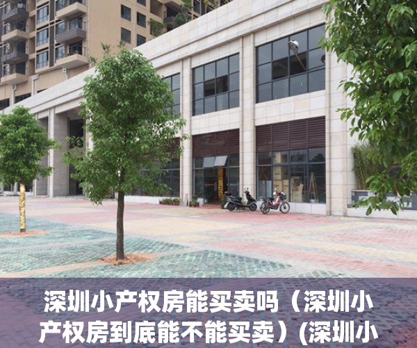 深圳小产权房能买卖吗（深圳小产权房到底能不能买卖）(深圳小产权房可以买吗?要什么手续?)