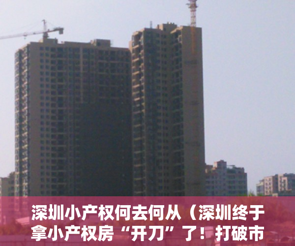 深圳小产权何去何从（深圳终于拿小产权房“开刀”了！打破市场预期有利于小产权房降温）