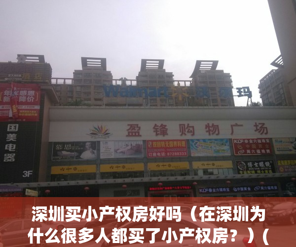 深圳买小产权房好吗（在深圳为什么很多人都买了小产权房？）(深圳买小产权房注意事项和手续)