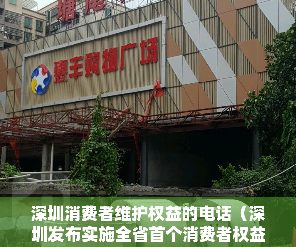 深圳消费者维护权益的电话（深圳发布实施全省首个消费者权益服务站地方标准）