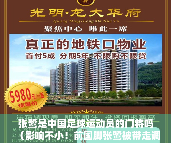 张鹭是中国足球运动员的门将吗（影响不小！前国脚张鹭被带走调查后：深圳队遭遇中超3连败！）