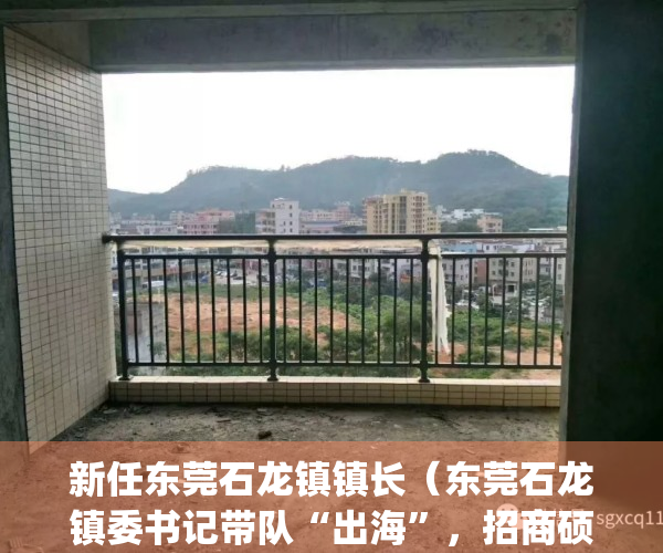 新任东莞石龙镇镇长（东莞石龙镇委书记带队“出海”，招商硕果累累）(东莞石龙镇领导班子成员)