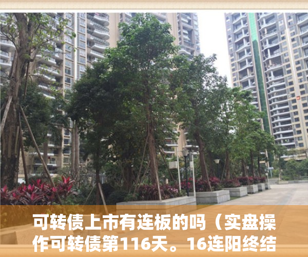 可转债上市有连板的吗（实盘操作可转债第116天。16连阳终结！今天卖卖卖，就差一键清仓了！今天老胡客户36W的潜伏等妖-高枕无忧组合首次建仓！！）