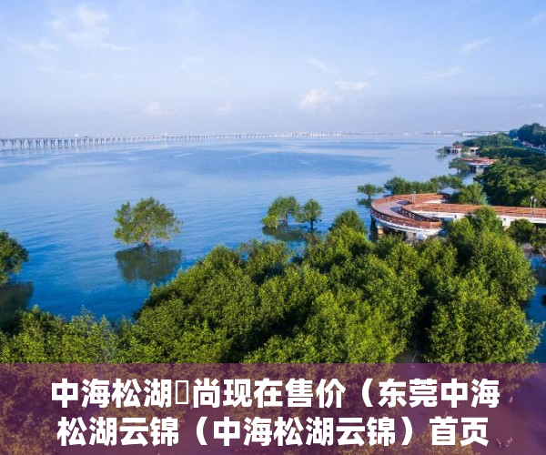 中海松湖璟尚现在售价（东莞中海松湖云锦（中海松湖云锦）首页网站丨中海松湖云锦楼盘详情地址）