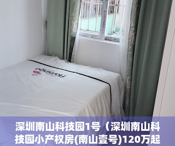 深圳南山科技园1号（深圳南山科技园小产权房(南山壹号)120万起,首付五成,分期三到五年）