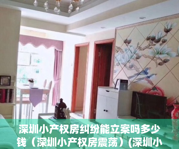 深圳小产权房纠纷能立案吗多少钱（深圳小产权房震荡）(深圳小产权赔偿案例)