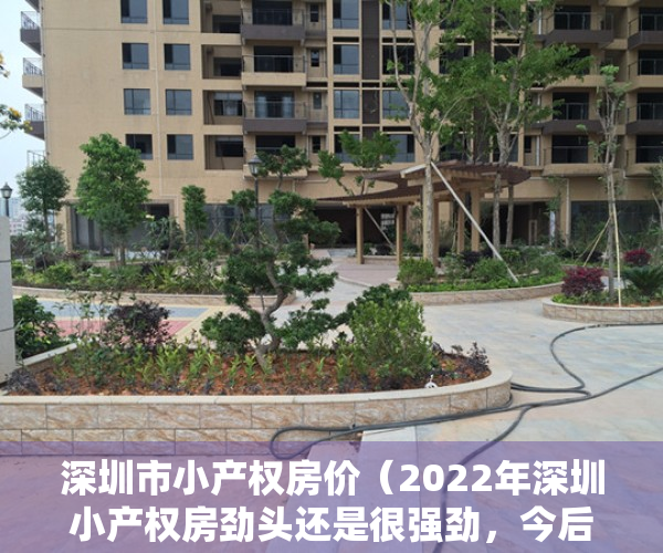 深圳市小产权房价（2022年深圳小产权房劲头还是很强劲，今后发展趋势如何，是否该入手）