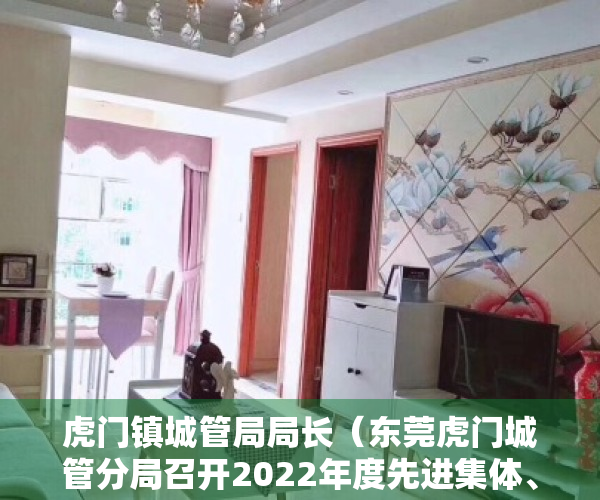 虎门镇城管局局长（东莞虎门城管分局召开2022年度先进集体、先进个人表彰大会）