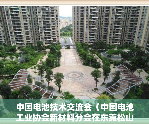 中国电池技术交流会（中国电池工业协会新材料分会在东莞松山湖成立）