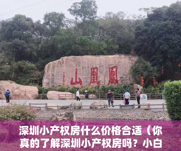 深圳小产权房什么价格合适（你真的了解深圳小产权房吗？小白也能轻松看懂的科普！）