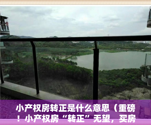 小产权房转正是什么意思（重磅！小产权房“转正”无望，买房可要擦亮眼了！）