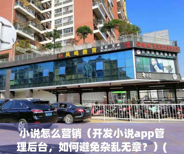 小说怎么营销（开发小说app管理后台，如何避免杂乱无章？）(小说app盈利模式)