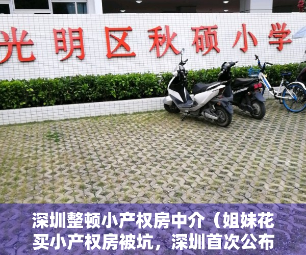 深圳整顿小产权房中介（姐妹花买小产权房被坑，深圳首次公布中介黑名单）