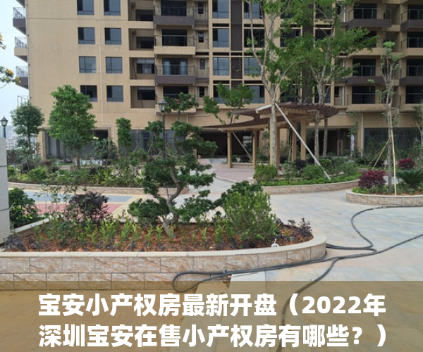宝安小产权房最新开盘（2022年深圳宝安在售小产权房有哪些？）(深圳宝安小产权房价格是多少)