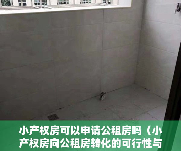 小产权房可以申请公租房吗（小产权房向公租房转化的可行性与对策研究）