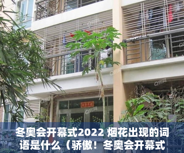 冬奥会开幕式2022 烟花出现的词语是什么（骄傲！冬奥会开幕式有来自东莞长安的两朵“小雪花”）