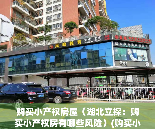 购买小产权房屋（湖北立探：购买小产权房有哪些风险）(购买小产权房的弊端)