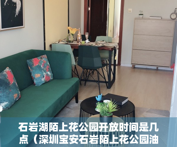 石岩湖陌上花公园开放时间是几点（深圳宝安石岩陌上花公园油菜花海迎来盛花期）