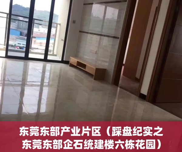 东莞东部产业片区（踩盘纪实之东莞东部企石统建楼六栋花园）