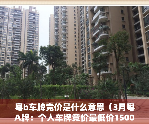 粤b车牌竞价是什么意思（3月粤A牌：个人车牌竞价最低价15000元，较上月上涨1500元）