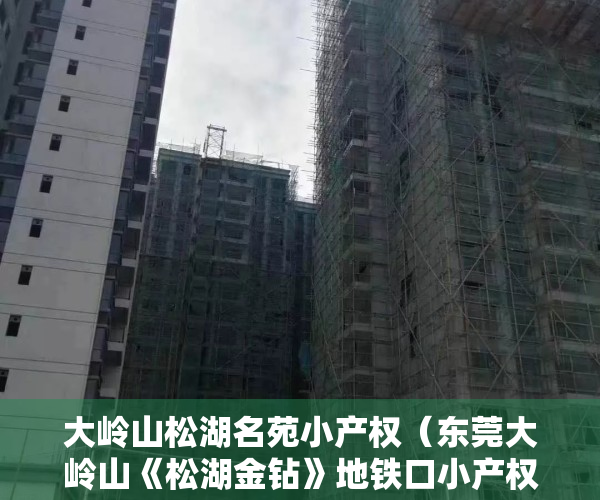 大岭山松湖名苑小产权（东莞大岭山《松湖金钻》地铁口小产权房 中心区花园小区单价3880元起）