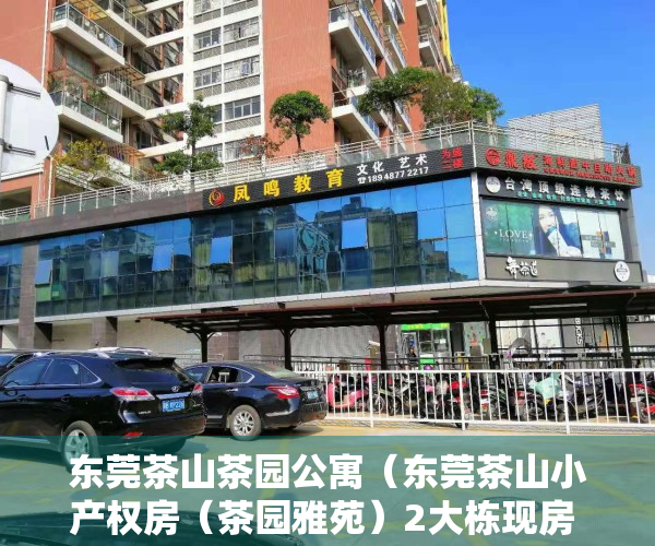 东莞茶山茶园公寓（东莞茶山小产权房（茶园雅苑）2大栋现房 停车方便，均价5字头分期5年）