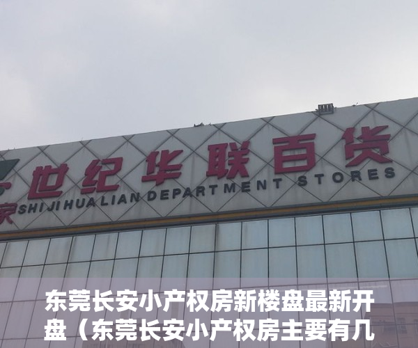 东莞长安小产权房新楼盘最新开盘（东莞长安小产权房主要有几种类型？）