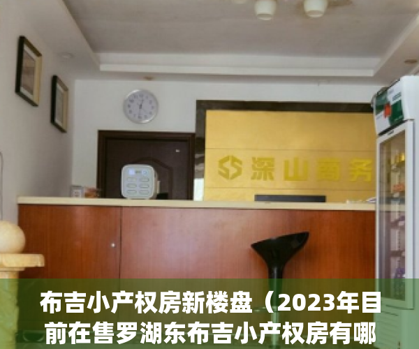 布吉小产权房新楼盘（2023年目前在售罗湖东布吉小产权房有哪些）(深圳布吉小产权房最新开盘)