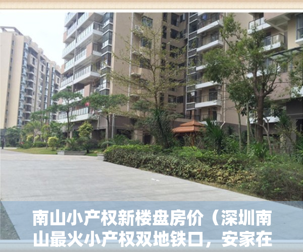南山小产权新楼盘房价（深圳南山最火小产权双地铁口，安家在公园里）