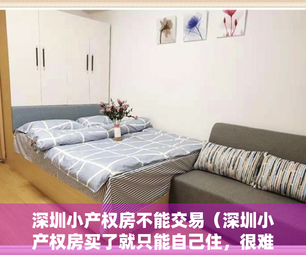 深圳小产权房不能交易（深圳小产权房买了就只能自己住，很难再转卖了，对吗？）