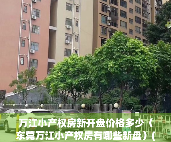 万江小产权房新开盘价格多少（东莞万江小产权房有哪些新盘）(东莞万江的小产权房现在怎么样)