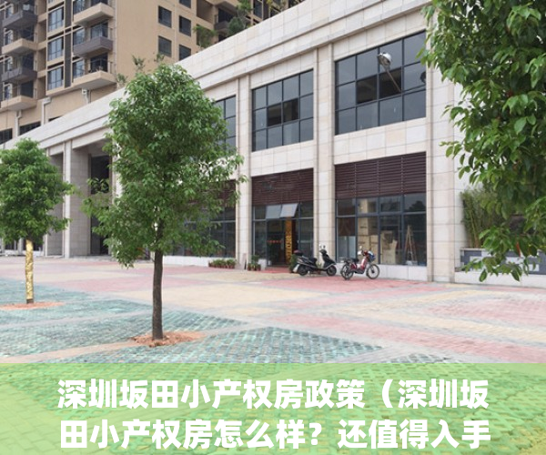 深圳坂田小产权房政策（深圳坂田小产权房怎么样？还值得入手吗？）(深圳坂田小产权二手房价)