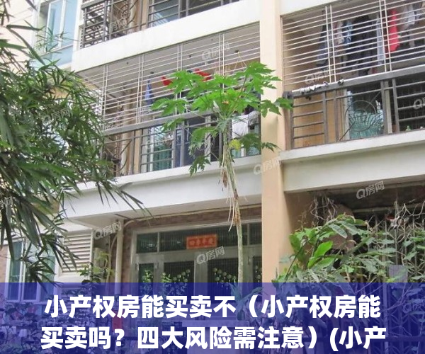 小产权房能买卖不（小产权房能买卖吗？四大风险需注意）(小产权房能否买卖?)